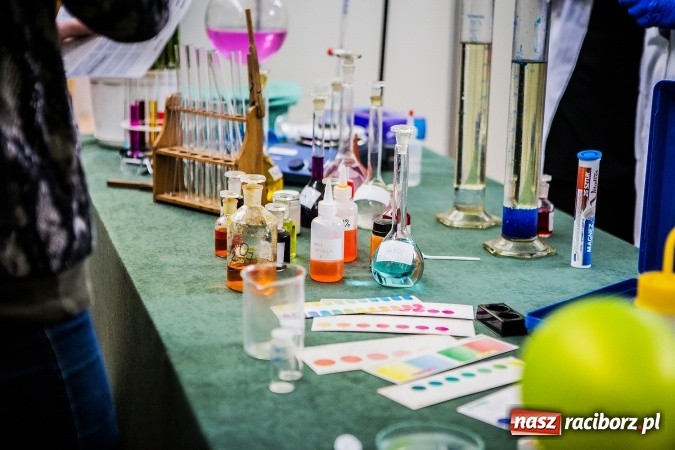 Zdjęcie w galerii na portalu naszraciborz.pl: Raciborski Festiwal Perspektyw na Światowy Tydzień Przedsiębiorczości wiadomości z regionu