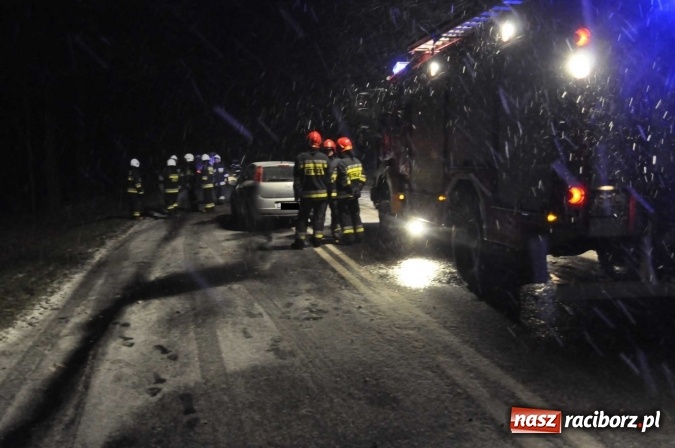 Zdjęcie w galerii na portalu naszraciborz.pl: Fatalne warunki na drogach. Na trasie Racibórz-Rybnik fiat uderzył w przydrożne drzewo wiadomości z regionu