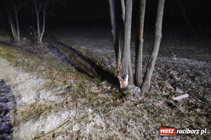 Zdjęcie w galerii na portalu naszraciborz.pl: Fatalne warunki na drogach. Na trasie Racibórz-Rybnik fiat uderzył w przydrożne drzewo wiadomości z regionu