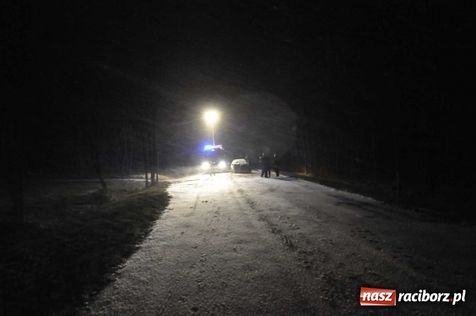 Zdjęcie w galerii na portalu naszraciborz.pl: Fatalne warunki na drogach. Na trasie Racibórz-Rybnik fiat uderzył w przydrożne drzewo wiadomości z regionu