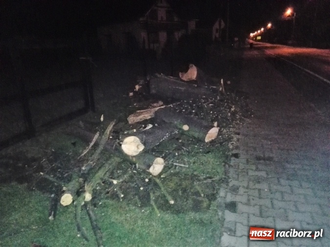 Zdjęcie w galerii na portalu naszraciborz.pl: Czwartek strażaków - dwa tysiące złotych strat po pożarze stogu słomy wiadomości z regionu