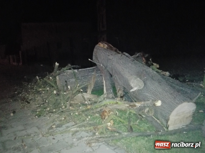 Zdjęcie w galerii na portalu naszraciborz.pl: Czwartek strażaków - dwa tysiące złotych strat po pożarze stogu słomy wiadomości z regionu