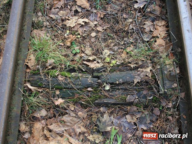 Zdjęcie w galerii na portalu naszraciborz.pl: Kolejka pojedzie aż do Babic wiadomości z regionu