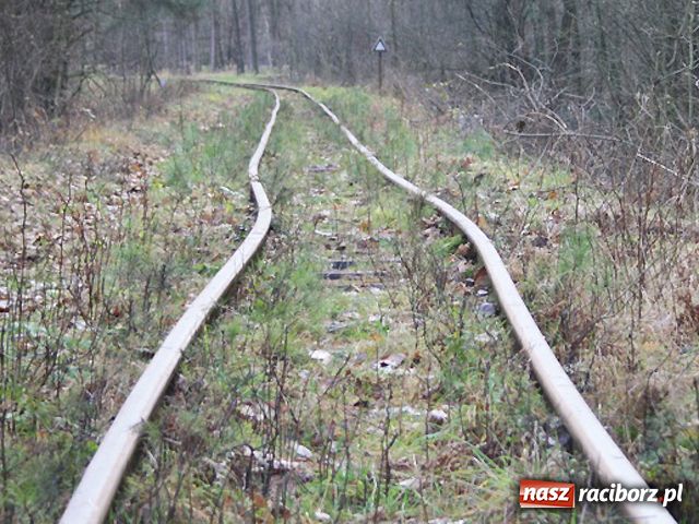 Zdjęcie w galerii na portalu naszraciborz.pl: Kolejka pojedzie aż do Babic wiadomości z regionu