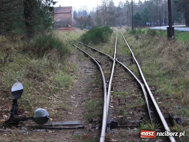 Zdjęcie w galerii na portalu naszraciborz.pl: Kolejka pojedzie aż do Babic wiadomości z regionu