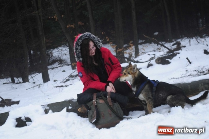 Zdjęcie w galerii na portalu naszraciborz.pl: 300 km psim zaprzęgiem - Racib&oacute;rz zdobywa P&oacute;łnoc. Pom&oacute;żmy raciborzance zdobyć bilet na polarną wyprawę! wiadomości z regionu