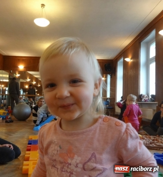 Zdjęcie w galerii na portalu naszraciborz.pl: Dokąd wybrały się Fikusie?  wiadomości z regionu