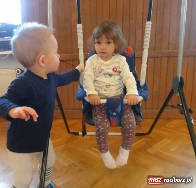 Zdjęcie w galerii na portalu naszraciborz.pl: Dokąd wybrały się Fikusie?  wiadomości z regionu