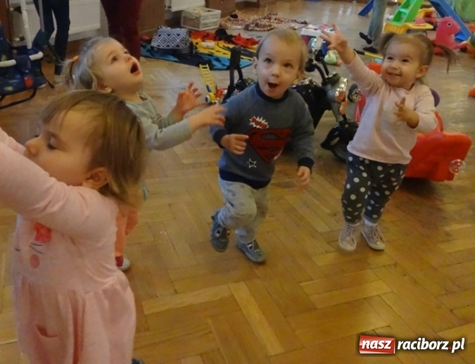 Zdjęcie w galerii na portalu naszraciborz.pl: Dokąd wybrały się Fikusie?  wiadomości z regionu