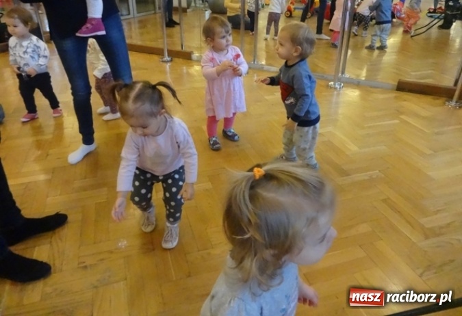 Zdjęcie w galerii na portalu naszraciborz.pl: Dokąd wybrały się Fikusie?  wiadomości z regionu