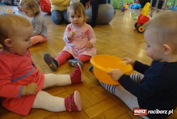 Zdjęcie w galerii na portalu naszraciborz.pl: Dokąd wybrały się Fikusie?  wiadomości z regionu