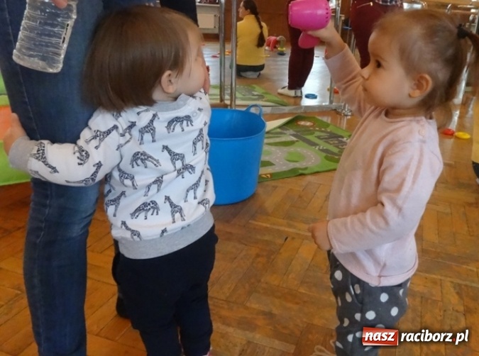 Zdjęcie w galerii na portalu naszraciborz.pl: Dokąd wybrały się Fikusie?  wiadomości z regionu
