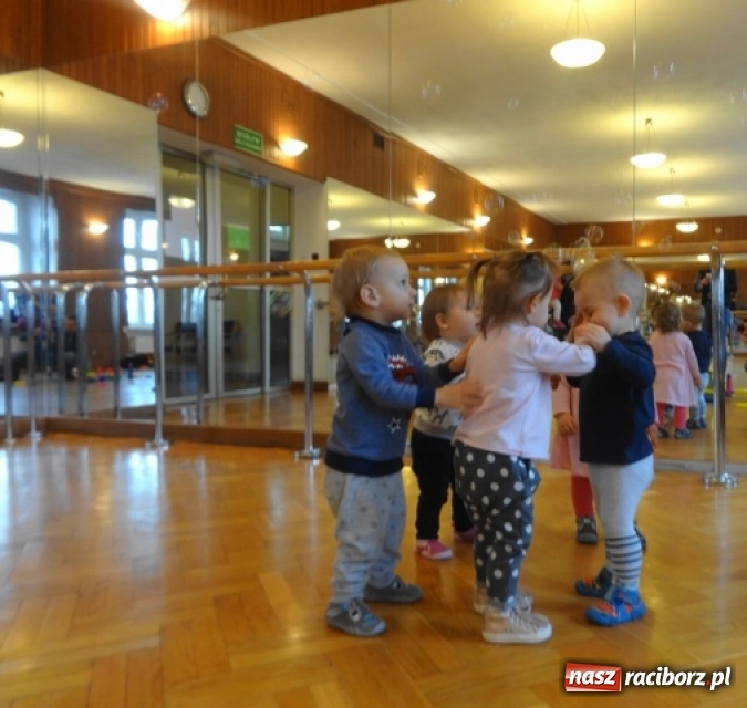 Zdjęcie w galerii na portalu naszraciborz.pl: Dokąd wybrały się Fikusie?  wiadomości z regionu