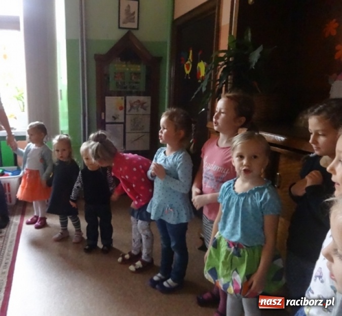 Zdjęcie w galerii na portalu naszraciborz.pl: Dokąd wybrały się Fikusie?  wiadomości z regionu