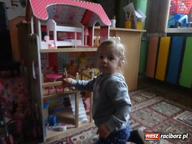 Zdjęcie w galerii na portalu naszraciborz.pl: Dokąd wybrały się Fikusie?  wiadomości z regionu