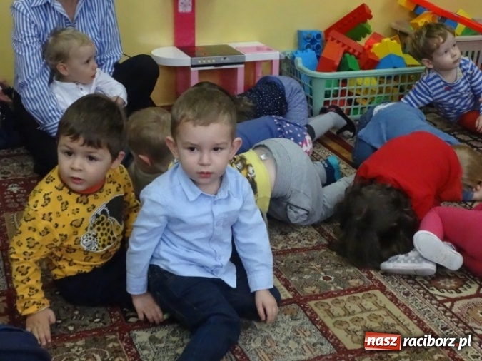 Zdjęcie w galerii na portalu naszraciborz.pl: Dokąd wybrały się Fikusie?  wiadomości z regionu