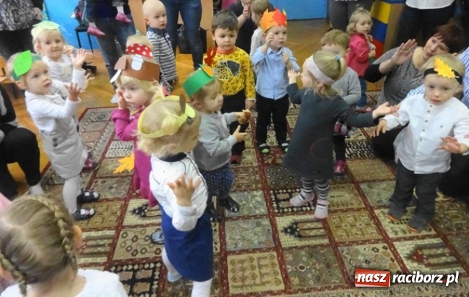 Zdjęcie w galerii na portalu naszraciborz.pl: Dokąd wybrały się Fikusie?  wiadomości z regionu