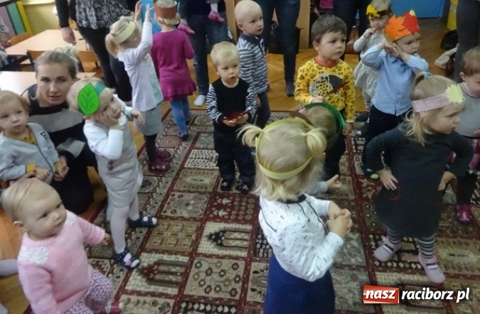 Zdjęcie w galerii na portalu naszraciborz.pl: Dokąd wybrały się Fikusie?  wiadomości z regionu