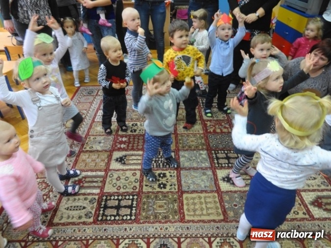 Zdjęcie w galerii na portalu naszraciborz.pl: Dokąd wybrały się Fikusie?  wiadomości z regionu
