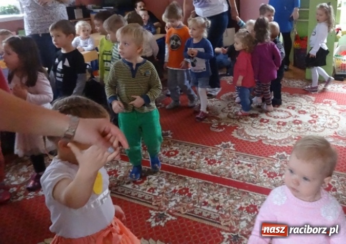 Zdjęcie w galerii na portalu naszraciborz.pl: Dokąd wybrały się Fikusie?  wiadomości z regionu