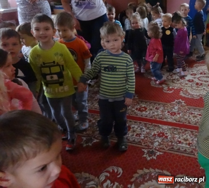 Zdjęcie w galerii na portalu naszraciborz.pl: Dokąd wybrały się Fikusie?  wiadomości z regionu