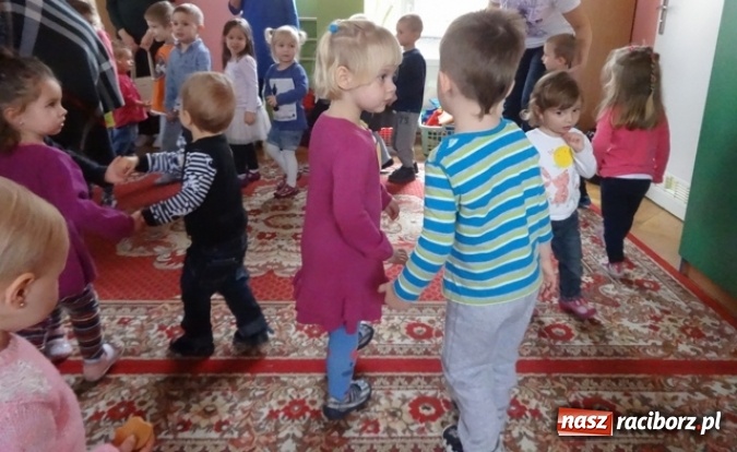 Zdjęcie w galerii na portalu naszraciborz.pl: Dokąd wybrały się Fikusie?  wiadomości z regionu