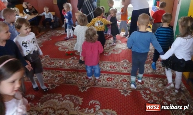 Zdjęcie w galerii na portalu naszraciborz.pl: Dokąd wybrały się Fikusie?  wiadomości z regionu