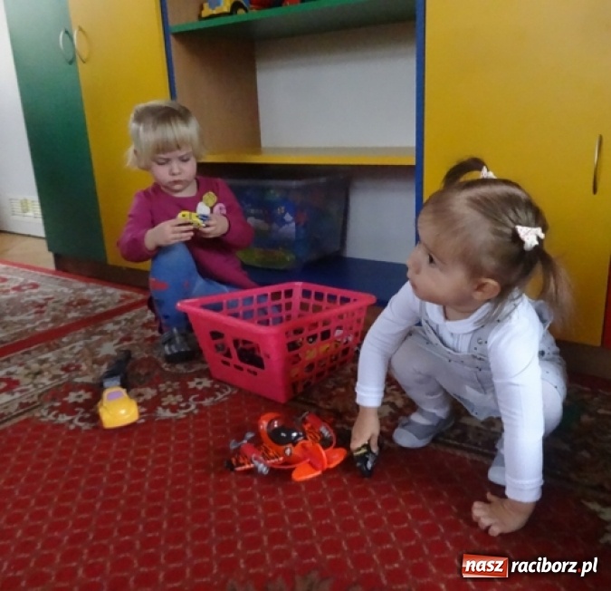 Zdjęcie w galerii na portalu naszraciborz.pl: Dokąd wybrały się Fikusie?  wiadomości z regionu