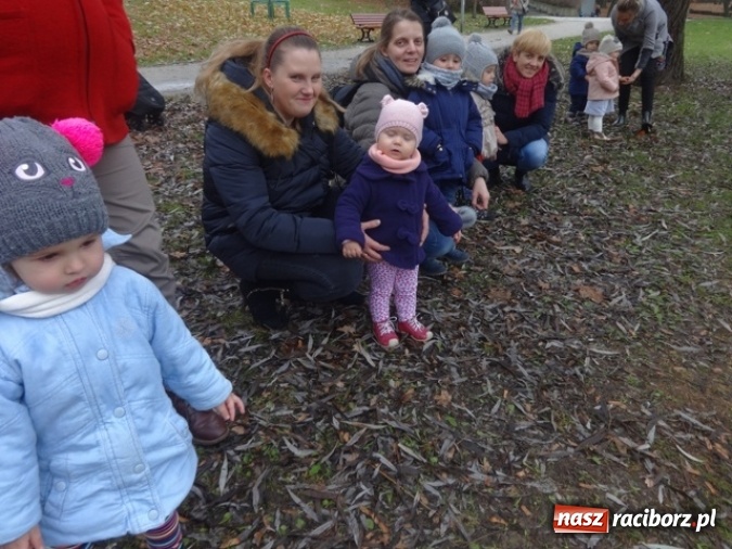 Zdjęcie w galerii na portalu naszraciborz.pl: Dokąd wybrały się Fikusie?  wiadomości z regionu