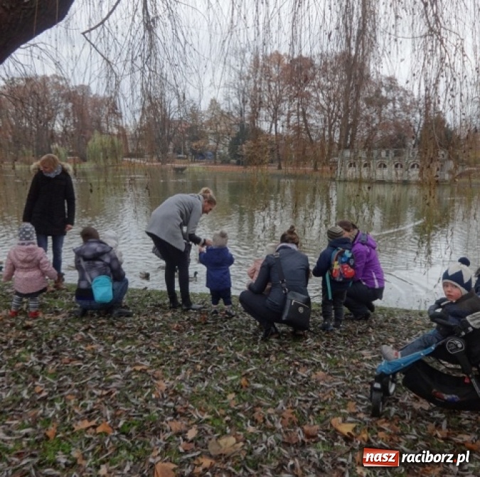 Zdjęcie w galerii na portalu naszraciborz.pl: Dokąd wybrały się Fikusie?  wiadomości z regionu