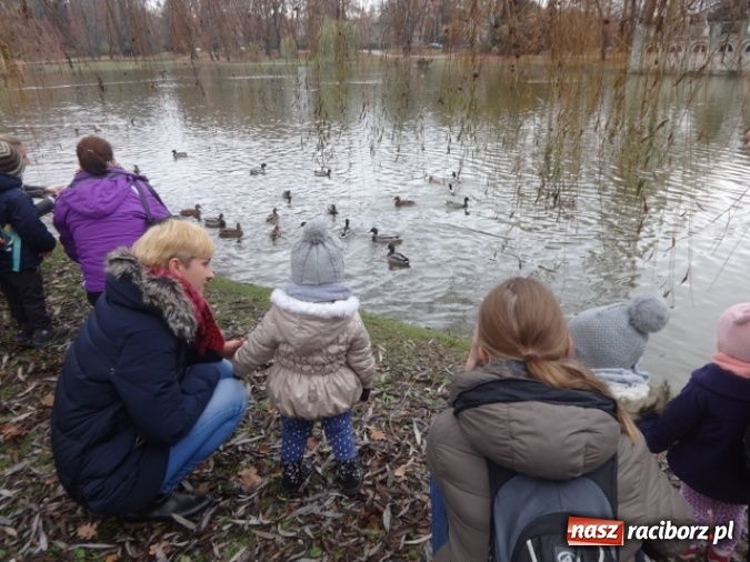 Zdjęcie w galerii na portalu naszraciborz.pl: Dokąd wybrały się Fikusie?  wiadomości z regionu