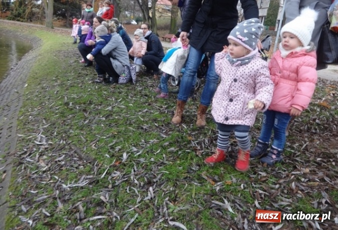 Zdjęcie w galerii na portalu naszraciborz.pl: Dokąd wybrały się Fikusie?  wiadomości z regionu