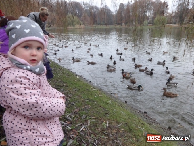 Zdjęcie w galerii na portalu naszraciborz.pl: Dokąd wybrały się Fikusie?  wiadomości z regionu