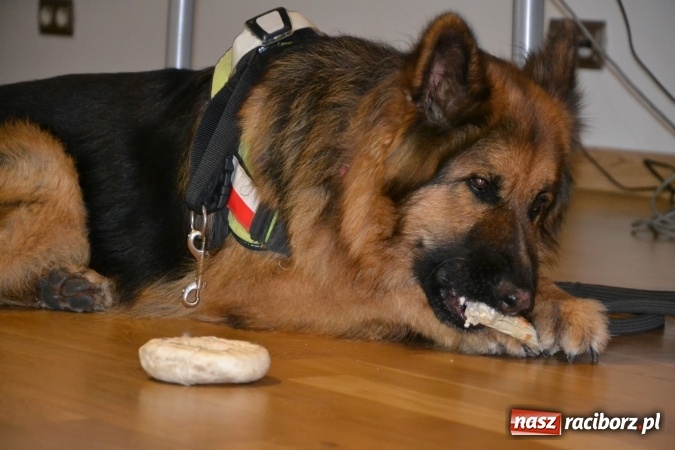 Zdjęcie w galerii na portalu naszraciborz.pl: Nowe zagrożenia, nowe wyzwania dla bezpieczeństwa – forum na Zamku Piastowskim za nami  wiadomości z regionu