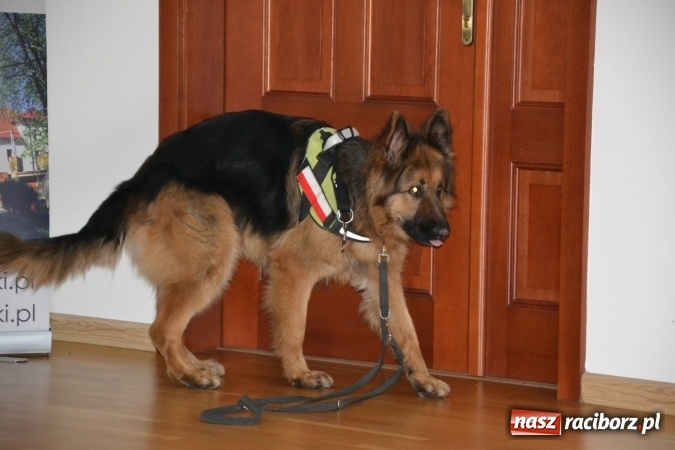 Zdjęcie w galerii na portalu naszraciborz.pl: Nowe zagrożenia, nowe wyzwania dla bezpieczeństwa – forum na Zamku Piastowskim za nami  wiadomości z regionu