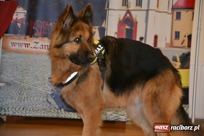 Zdjęcie w galerii na portalu naszraciborz.pl: Nowe zagrożenia, nowe wyzwania dla bezpieczeństwa – forum na Zamku Piastowskim za nami  wiadomości z regionu