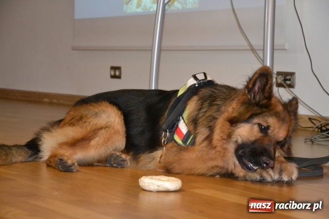 Zdjęcie w galerii na portalu naszraciborz.pl: Nowe zagrożenia, nowe wyzwania dla bezpieczeństwa – forum na Zamku Piastowskim za nami  wiadomości z regionu