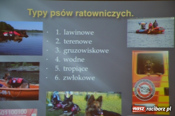 Zdjęcie w galerii na portalu naszraciborz.pl: Nowe zagrożenia, nowe wyzwania dla bezpieczeństwa – forum na Zamku Piastowskim za nami  wiadomości z regionu