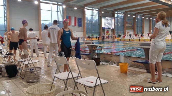 Zdjęcie w galerii na portalu naszraciborz.pl: Pływanie. Ponad setka medali raciborskich pływaków  wiadomości z regionu