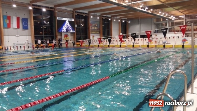 Zdjęcie w galerii na portalu naszraciborz.pl: Pływanie. Ponad setka medali raciborskich pływaków  wiadomości z regionu