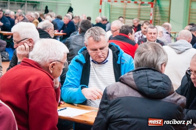 Zdjęcie w galerii na portalu naszraciborz.pl: IX Grand Prix Polski w Skacie Sportowym i XVII Mistrzostwa Powiatu w Arenie Rafako wiadomości z regionu