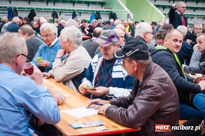 Zdjęcie w galerii na portalu naszraciborz.pl: IX Grand Prix Polski w Skacie Sportowym i XVII Mistrzostwa Powiatu w Arenie Rafako wiadomości z regionu