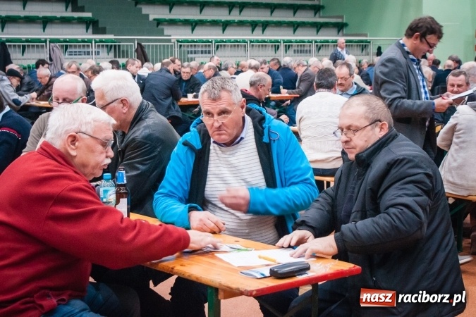 Zdjęcie w galerii na portalu naszraciborz.pl: IX Grand Prix Polski w Skacie Sportowym i XVII Mistrzostwa Powiatu w Arenie Rafako wiadomości z regionu