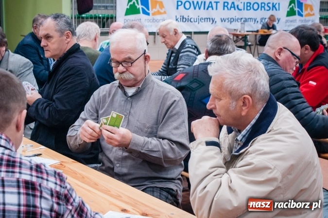 Zdjęcie w galerii na portalu naszraciborz.pl: IX Grand Prix Polski w Skacie Sportowym i XVII Mistrzostwa Powiatu w Arenie Rafako wiadomości z regionu