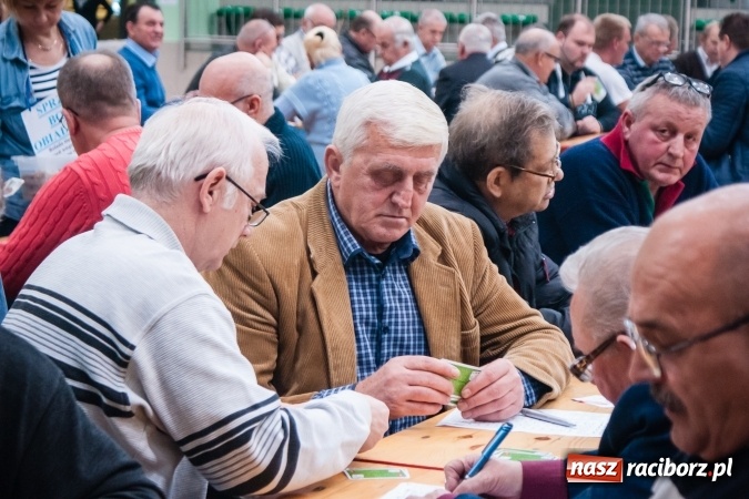 Zdjęcie w galerii na portalu naszraciborz.pl: IX Grand Prix Polski w Skacie Sportowym i XVII Mistrzostwa Powiatu w Arenie Rafako wiadomości z regionu