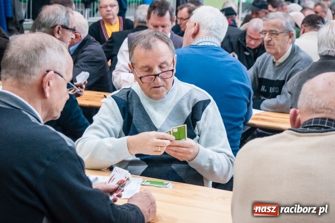 Zdjęcie w galerii na portalu naszraciborz.pl: IX Grand Prix Polski w Skacie Sportowym i XVII Mistrzostwa Powiatu w Arenie Rafako wiadomości z regionu