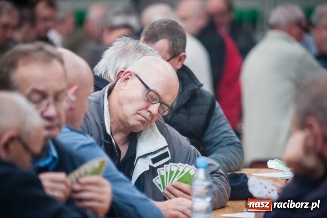 Zdjęcie w galerii na portalu naszraciborz.pl: IX Grand Prix Polski w Skacie Sportowym i XVII Mistrzostwa Powiatu w Arenie Rafako wiadomości z regionu