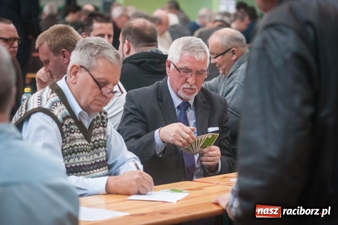 Zdjęcie w galerii na portalu naszraciborz.pl: IX Grand Prix Polski w Skacie Sportowym i XVII Mistrzostwa Powiatu w Arenie Rafako wiadomości z regionu