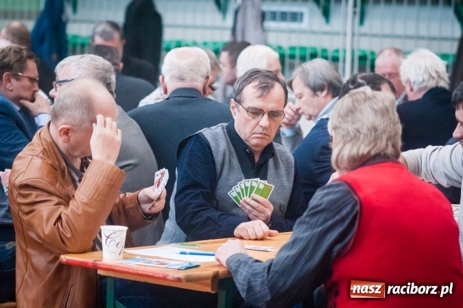 Zdjęcie w galerii na portalu naszraciborz.pl: IX Grand Prix Polski w Skacie Sportowym i XVII Mistrzostwa Powiatu w Arenie Rafako wiadomości z regionu