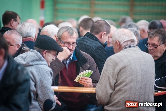 Zdjęcie w galerii na portalu naszraciborz.pl: IX Grand Prix Polski w Skacie Sportowym i XVII Mistrzostwa Powiatu w Arenie Rafako wiadomości z regionu